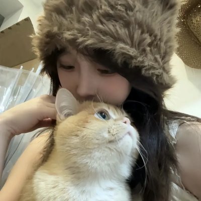 容易受伤的玫瑰