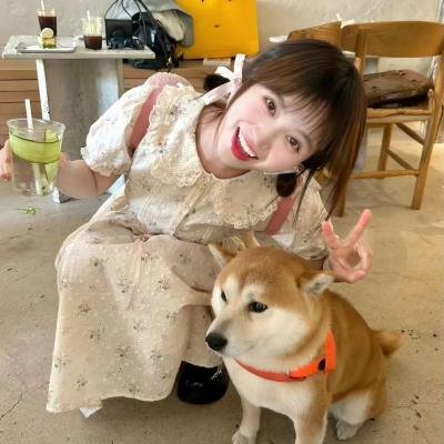积木之箱